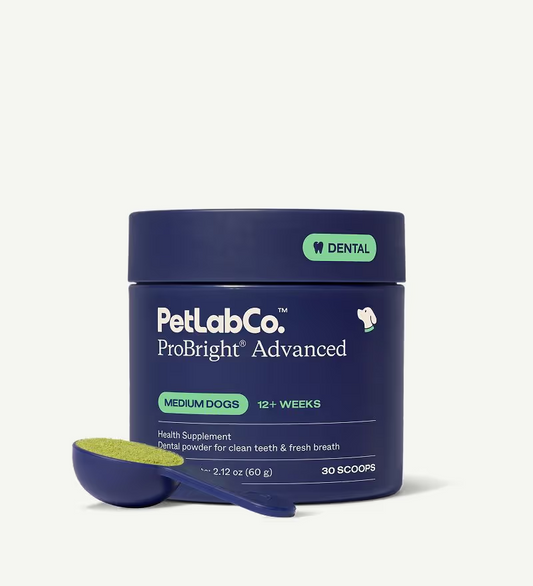 ProBright® Advanced dog dental powder